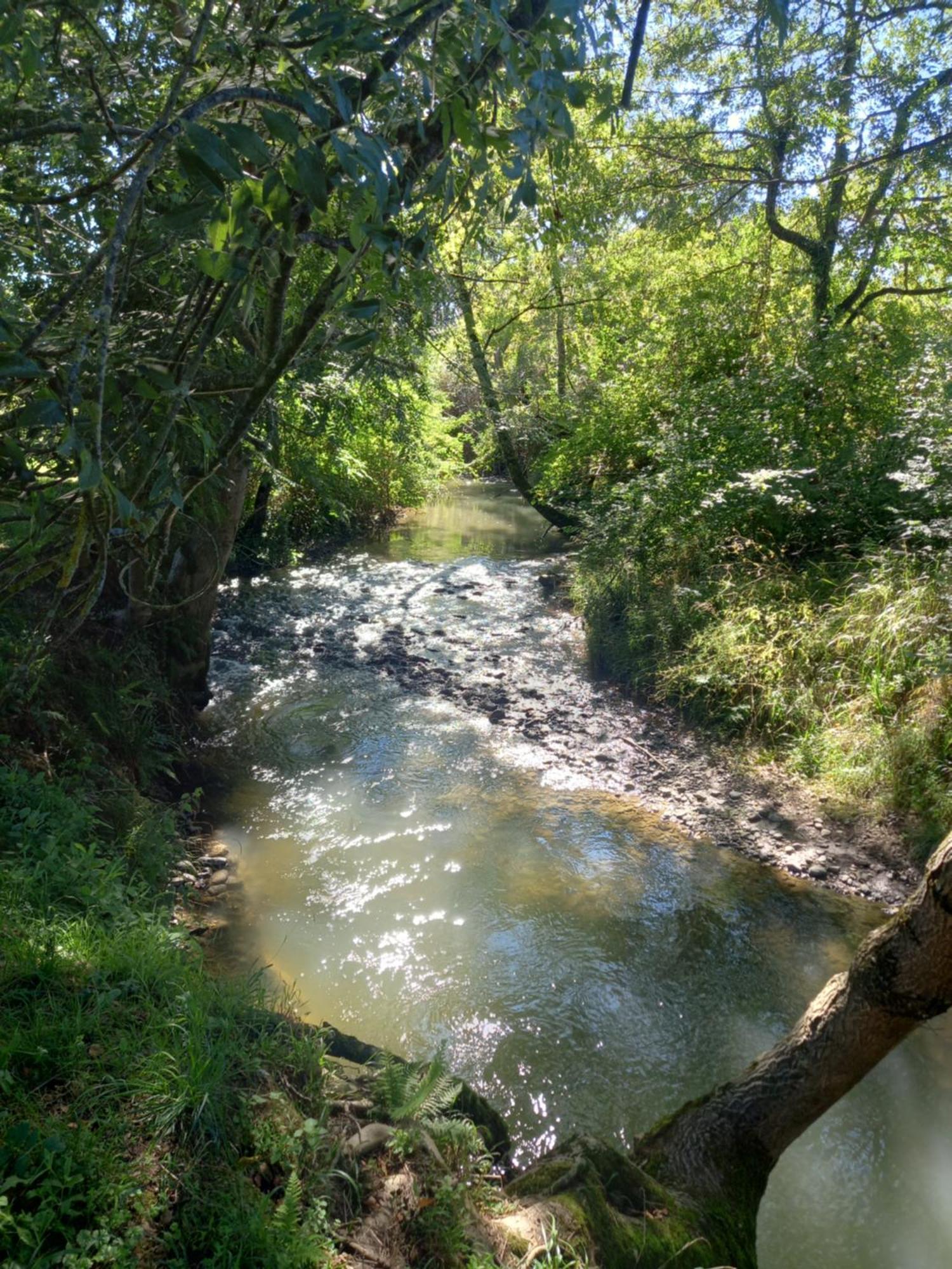 Holiday home L'oasis Des Pyrenees